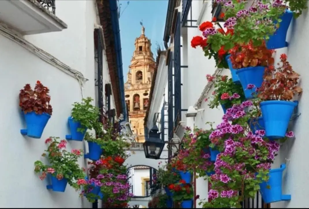 Apartmán San Rafael Home Córdoba Španělsko